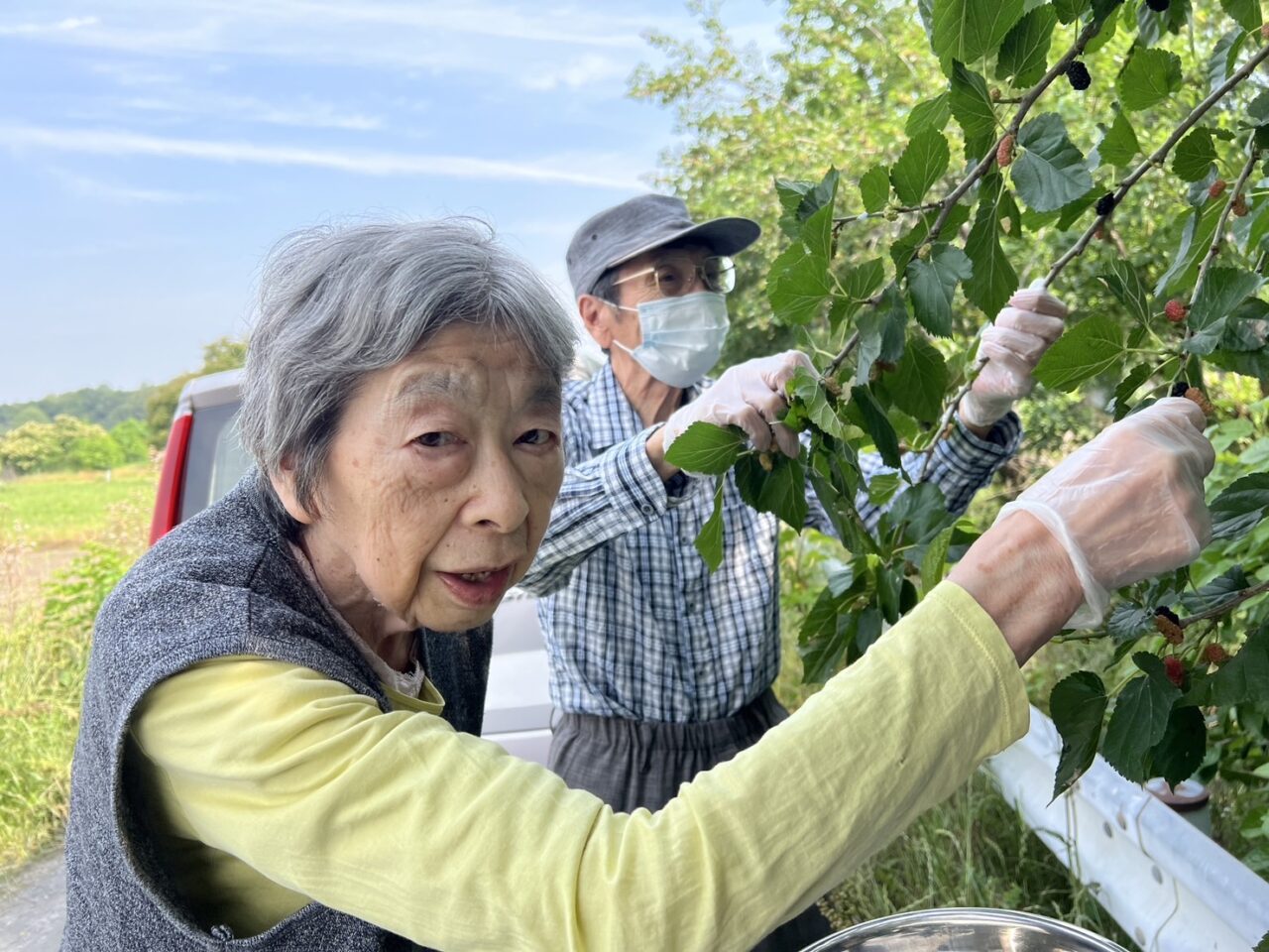 桑の実 | 社会福祉法人忠黎会